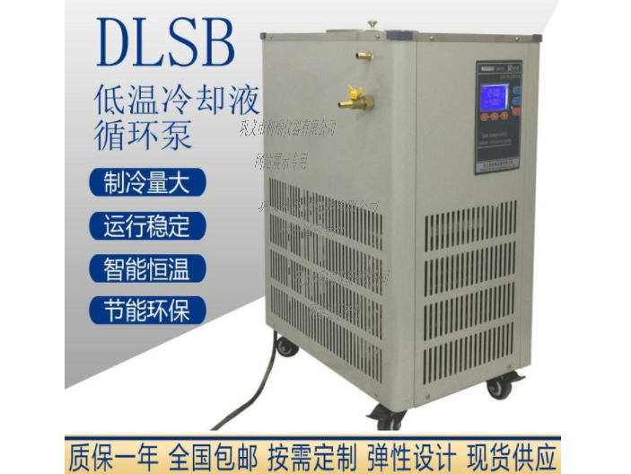 DLSB-30L低溫冷卻液循環泵